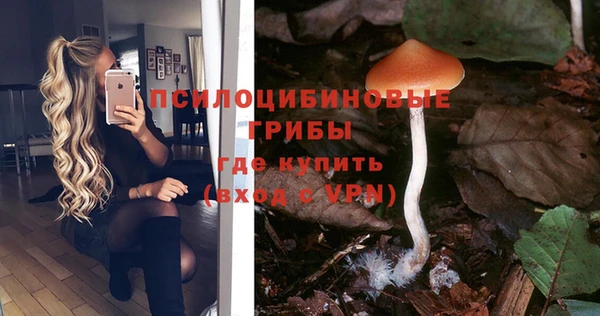 a pvp Дмитров