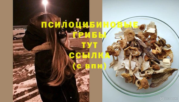 экстази Весьегонск