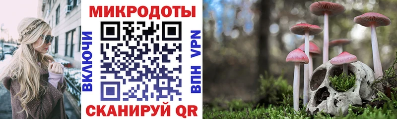 продажа наркотиков  Железногорск-Илимский  Псилоцибиновые грибы Cubensis 